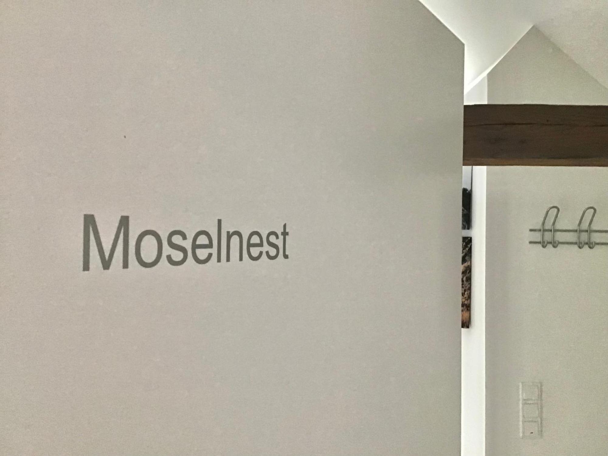 Mosel Palais Apartment Uerzig Room photo