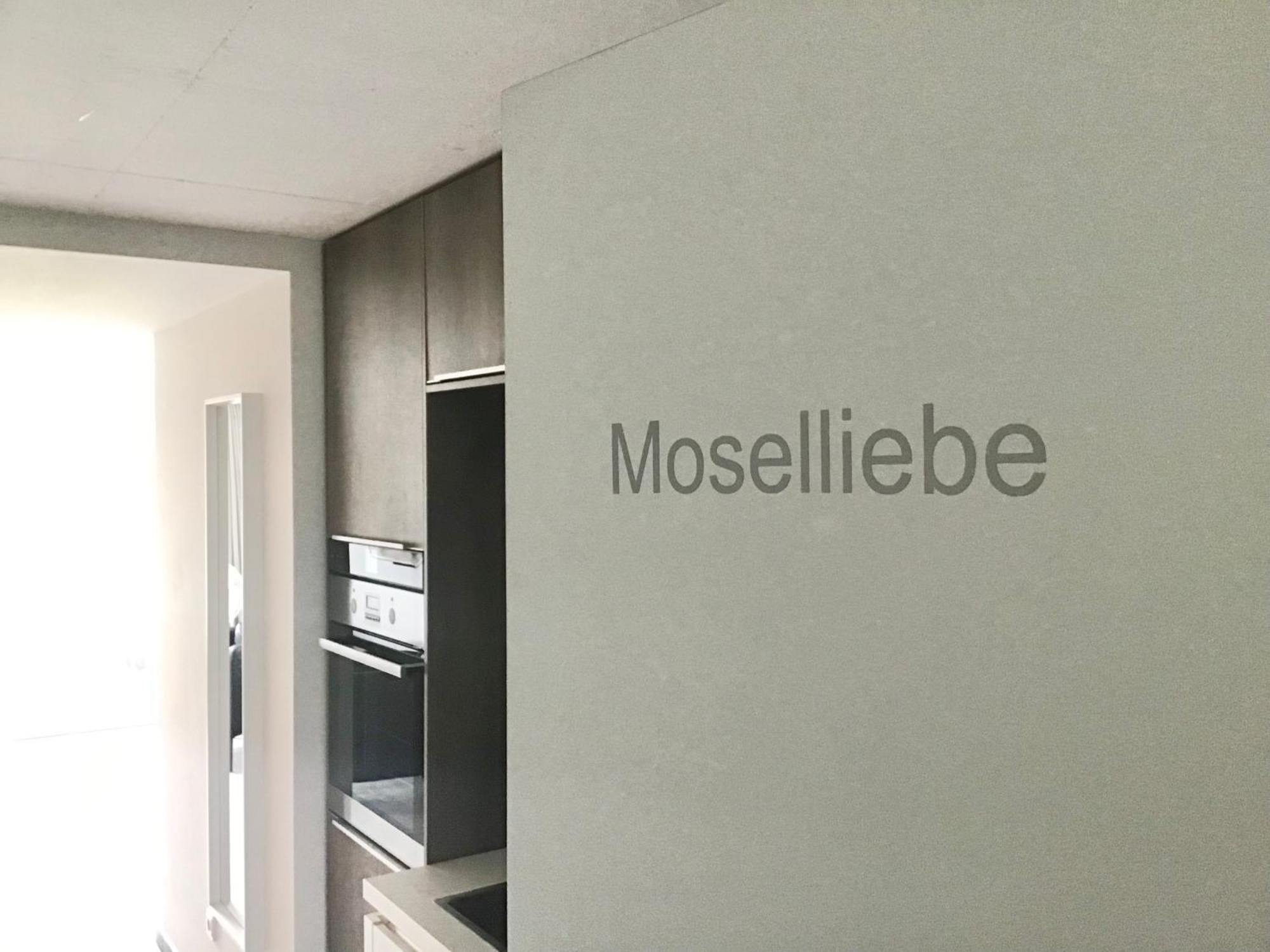 Mosel Palais Apartment Uerzig Room photo